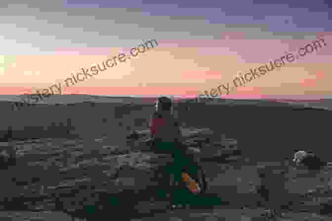 A Person Sitting On A Rock In The Wilderness, Looking Out At A Beautiful Sunset. UNPLUGGED: 15 Steps To Disconnect From Technology And Reconnect With Nature Yourself Friends And Family