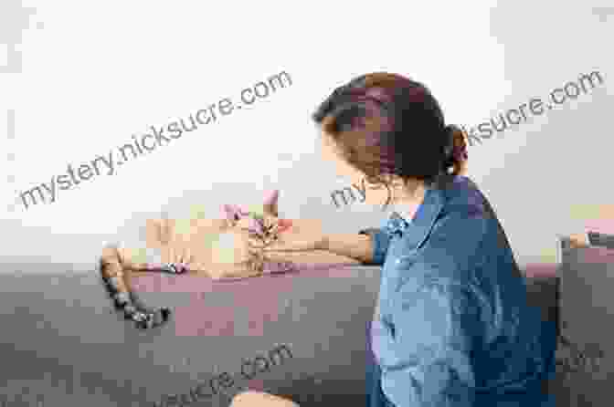 A Pregnant Woman Is Petting A Cat. Tell Your Cat You Re Pregnant: An Essential Guide For Cat Owners Who Are Expecting A Baby (CD/Downloadable MP3s Not Included)