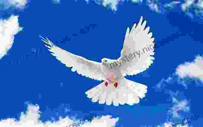 A White Dove, A Symbol Of Peace, Flying In A Blue Sky With Clouds LET US CARE FOR PEACE: By John Vinzelts