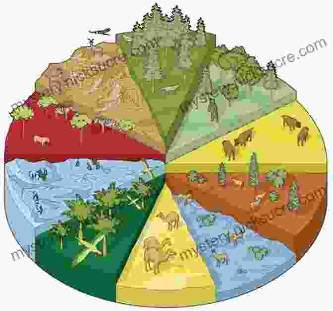 Comprehensive Habitat Descriptions Providing Insights Into The Preferred Environments Of Different Bird Species Birds Of Bhutan And The Eastern Himalayas (Helm Field Guides)