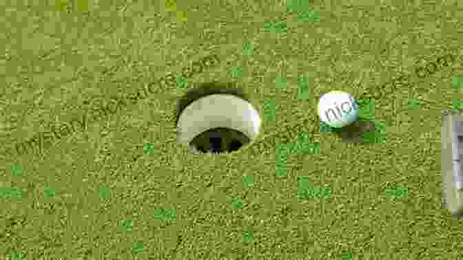 Golf Ball Rolling Into The Hole Amidst A Crowd Of Spectators Grounded Golf: Steady Performance Under Pressure For The Female Golfer