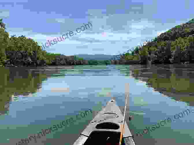 Kayakers Paddling Through A Calm Section Of The Shenandoah River In Virginia's Blue Ridge Mountains New River Guide: Paddling And Fishing In North Carolina Virginia And West Virginia