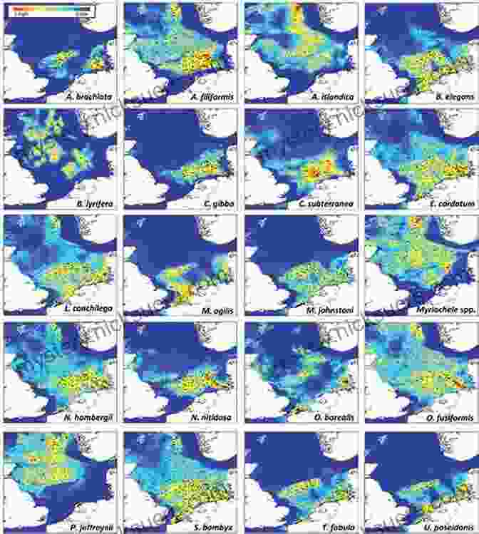 Precise Distribution Maps Indicating The Occurrence Of Each Species Within The Region Birds Of Bhutan And The Eastern Himalayas (Helm Field Guides)