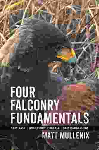 Four Falconry Fundamentals Matt Mullenix