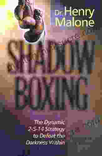 Shadow Boxing: The Dynamic 2 5 14 Strategy To Defeat The Darkness Within