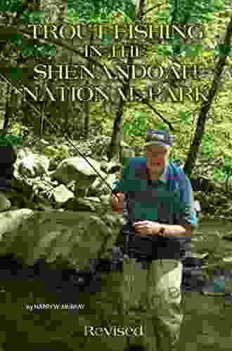 Trout Fishing In The Shenandoah National Park